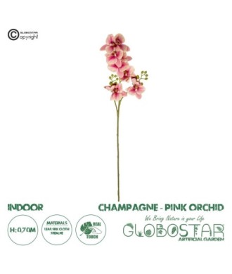 GloboStar® Artificial Garden CHAMPAGNE PINK ORCHID  BRANCH 21411 Τεχνητό Διακοσμητικό Κλαδί Σαμπανί Ορχιδέα Y70cm